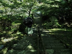 遠くの蝉音