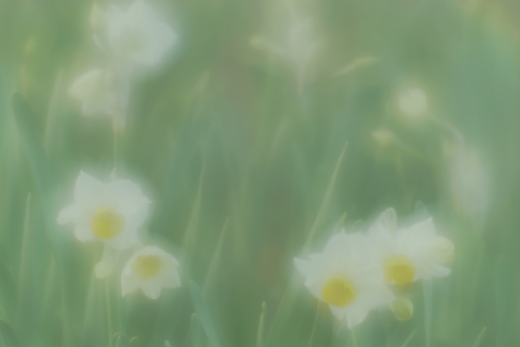 環