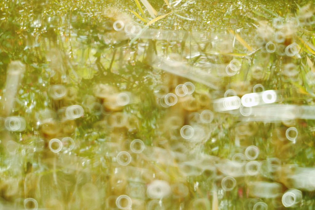 春陽の虚像