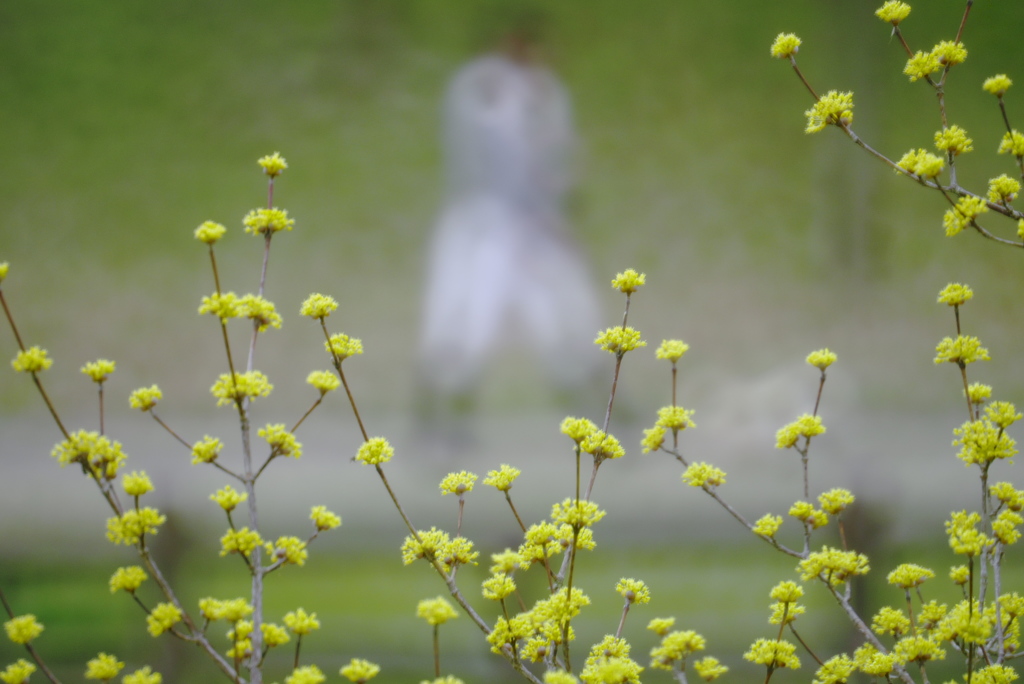 ぽっかぽかでうっきうきのお散歩