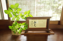 5月のカレンダー