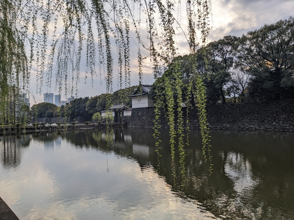 柳と堀