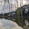 柳と堀