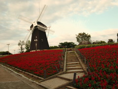 メルヘンチックな丘の上