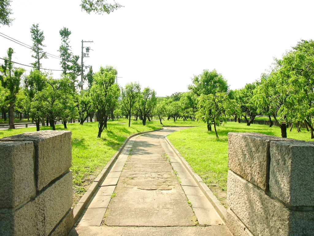 桃園