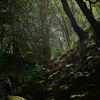 越冬陽気