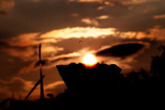 梅雨明けの夕立