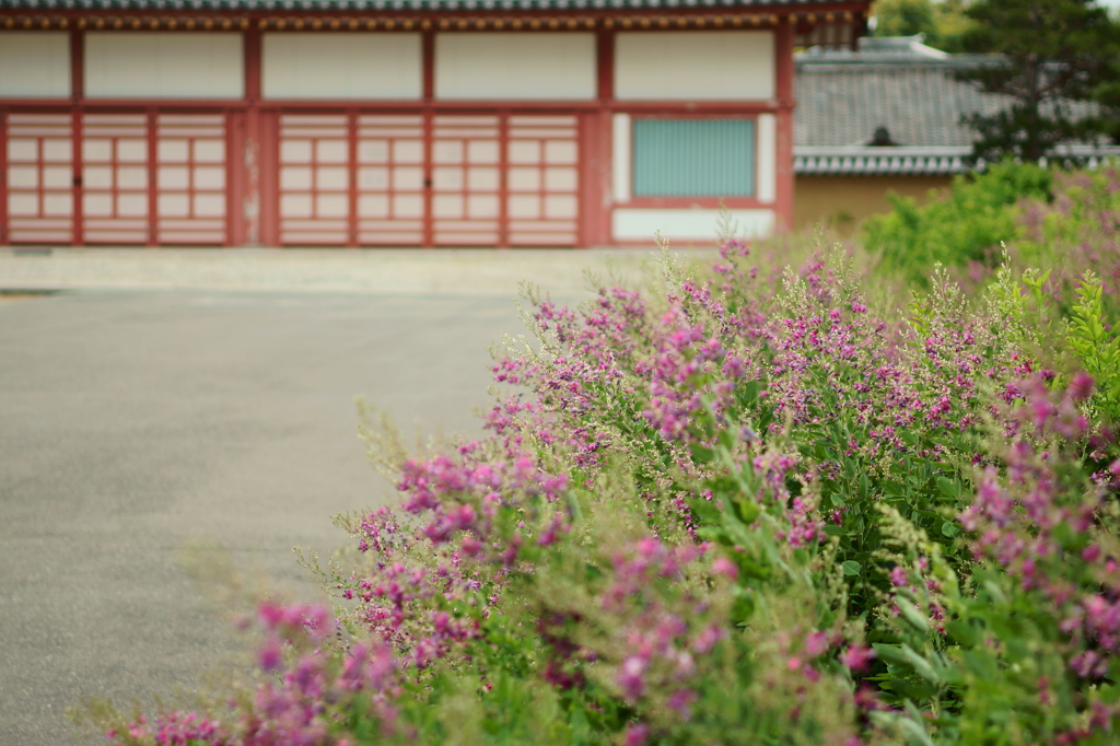 寺院の風景