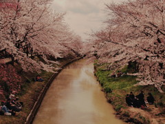 土と花の香り