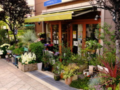 flower shop