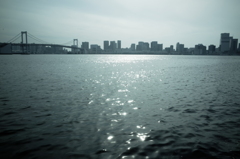 豊洲市場からの景色