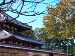 意外に・・・好きな場面