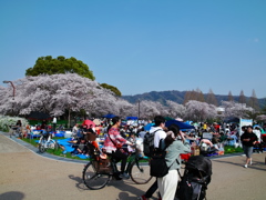 ４月１日の頃