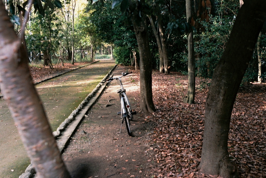 自転車に乗って⇒⇒