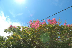 峠の青い空の下