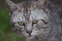 凶暴につき出入禁止 凶暴につき出入禁止