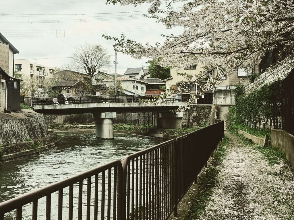 琵琶湖疎水めぐり