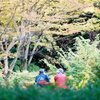 駆け足の年月