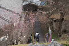 ある坂道