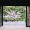 桜田門
