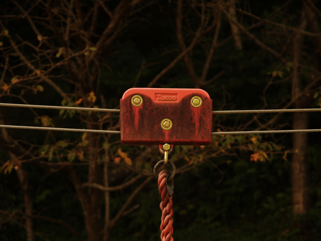 いつか遊んだ思い出は