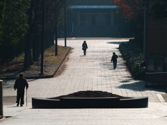 公園の一日・・・はじまり