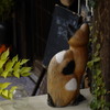 耳のかけた猫