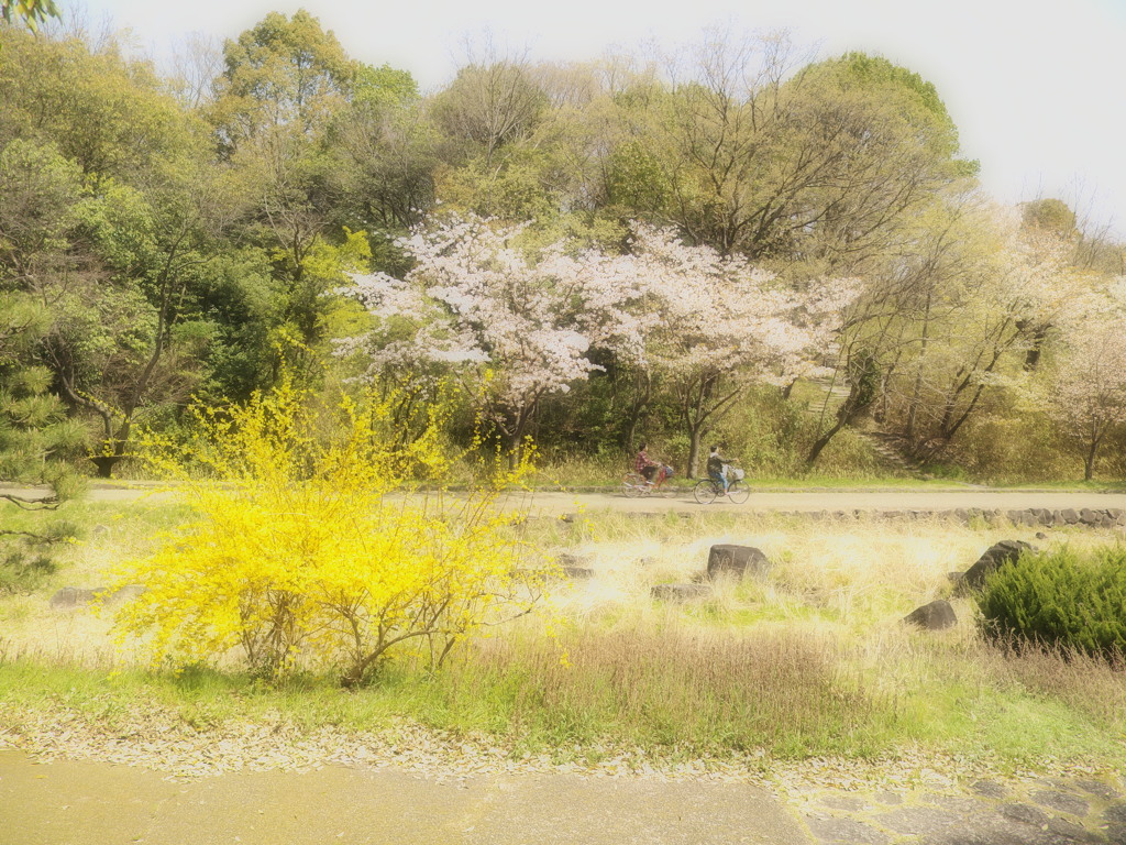 この一週間
