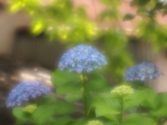 半開き