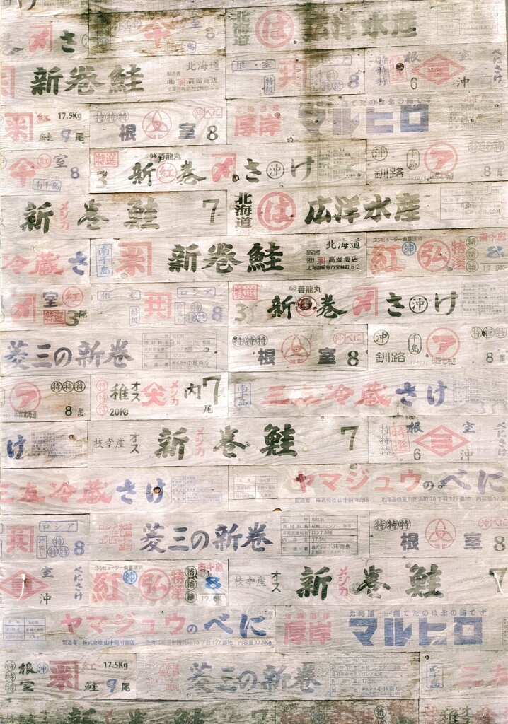鮭模様