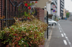 街角voice