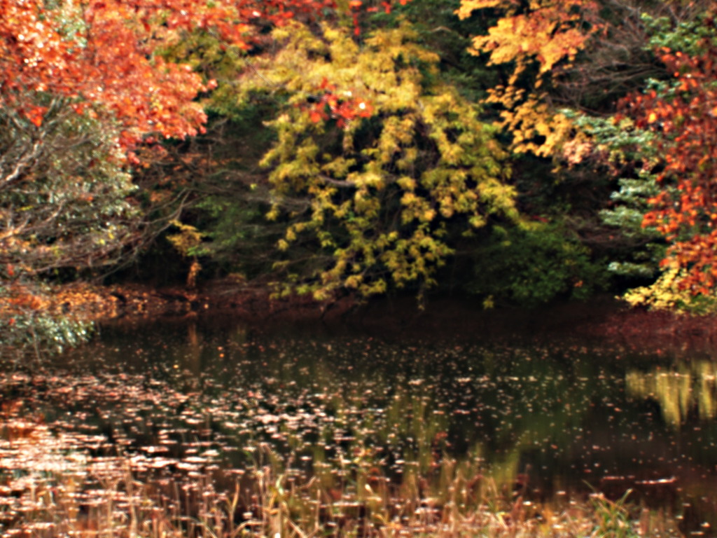 静寂に時を過ごす