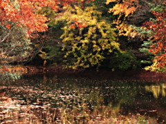 静寂に時を過ごす