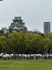 ブルーインパルスが来なかった想い出