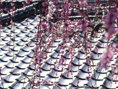 降花模様 降花模様