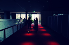 guide light