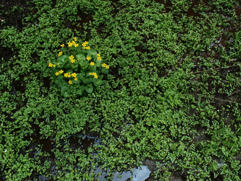 春雨前線