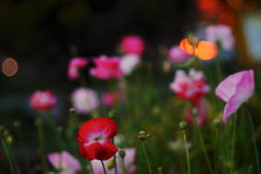 定時までの30分