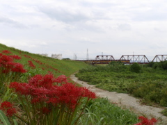 鉄路の風景