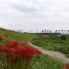 鉄路の風景