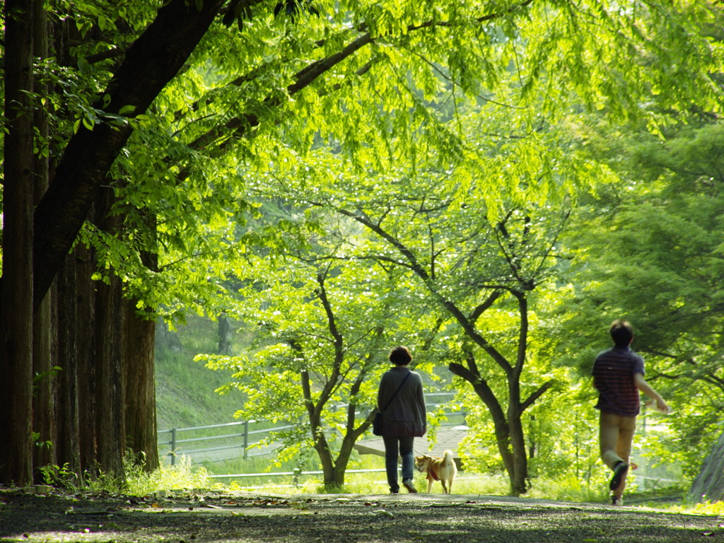 夏日の出来事