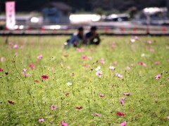 太陽の下