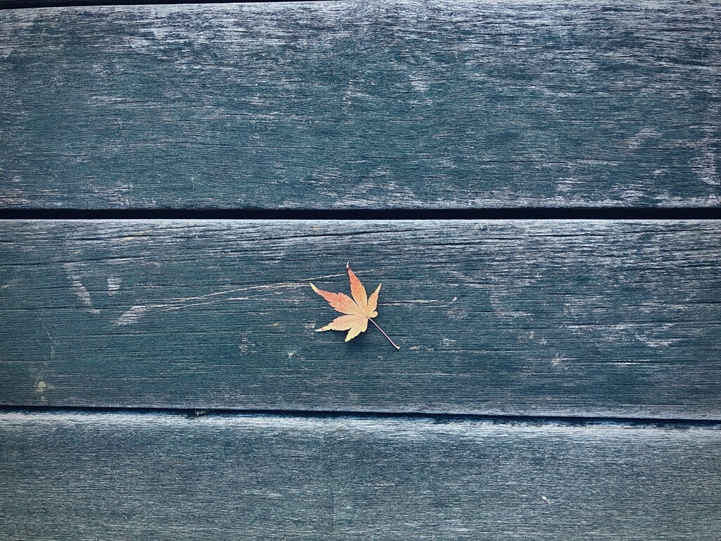 足元に吹く風