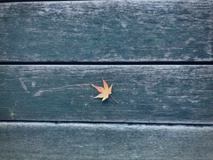 足元に吹く風