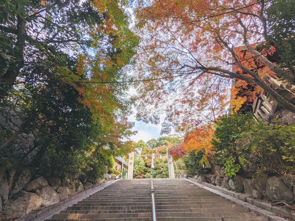 大空を守って