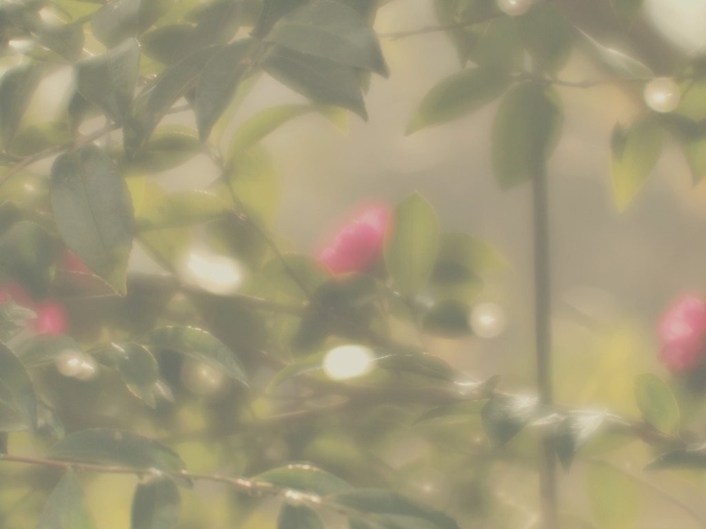 フリーズンな午後