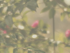 フリーズンな午後