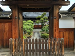 趣きの通り道