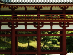 初夏のとき