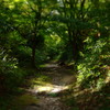 山歩き
